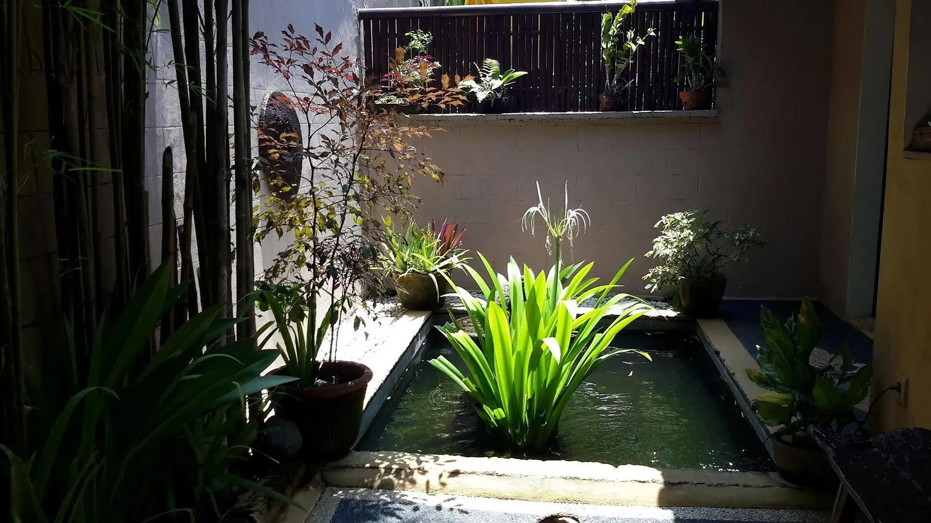 Villa Plawa Asri Seminyak   Seminyak (Bali)