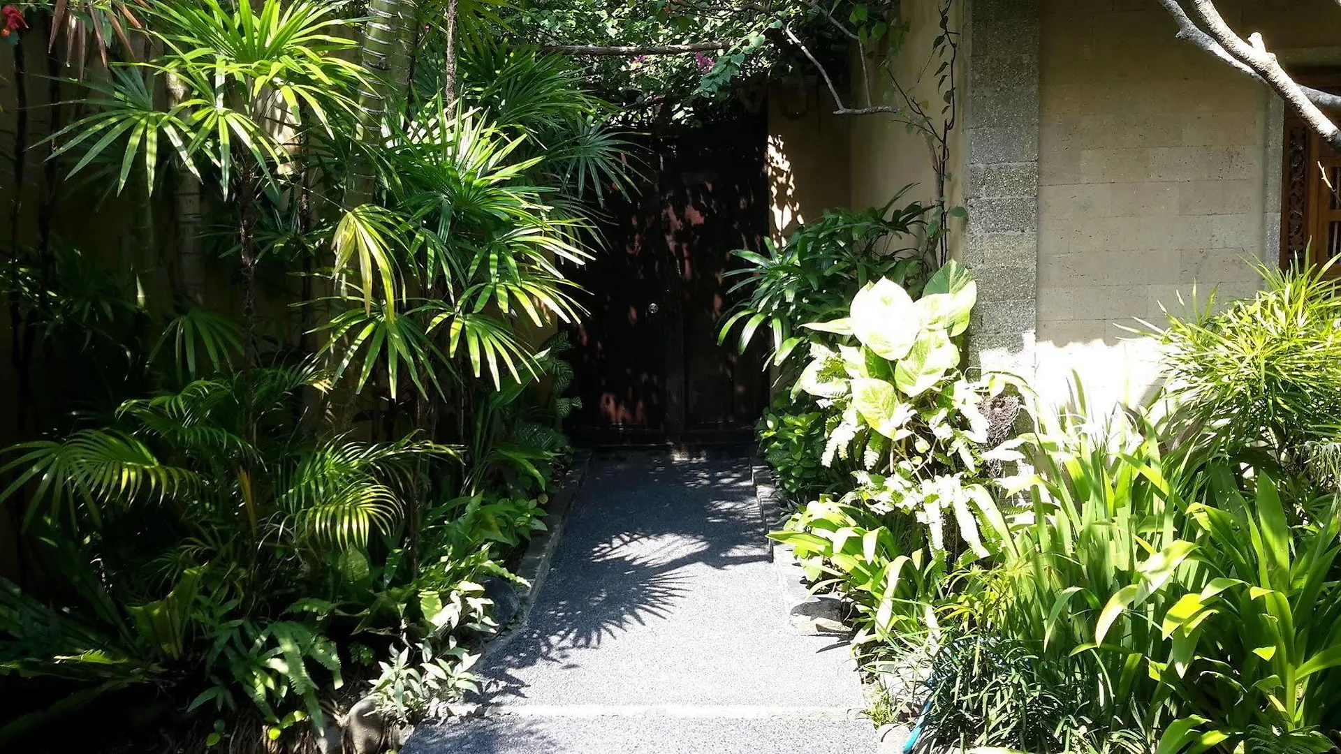 Villa Plawa Asri Seminyak